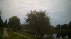 Rosarium Webcam