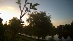 Rosarium Webcam