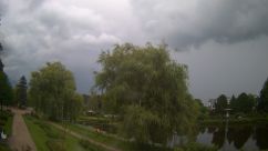 Rosarium Webcam