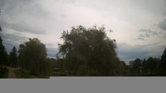 Rosarium Webcam