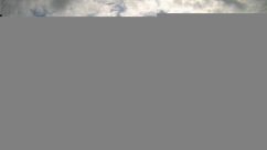 Rosarium Webcam