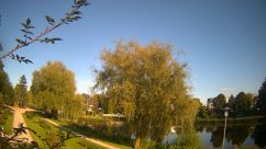 Rosarium Webcam