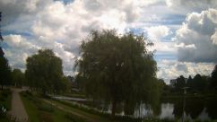 Rosarium Webcam