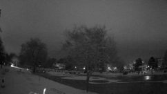 Rosarium Webcam