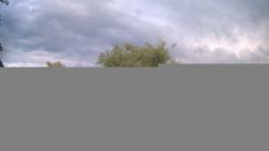 Rosarium Webcam