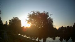 Rosarium Webcam