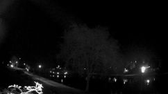 Rosarium Webcam