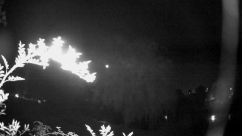 Rosarium Webcam