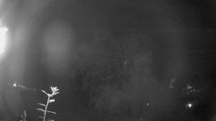 Rosarium Webcam