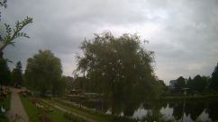 Rosarium Webcam
