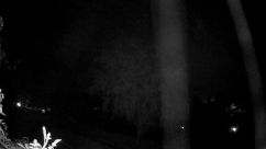 Rosarium Webcam