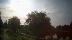 Rosarium Webcam