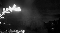 Rosarium Webcam
