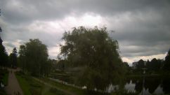 Rosarium Webcam