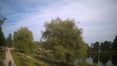 Rosarium Webcam