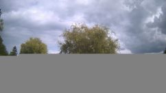 Rosarium Webcam