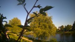 Rosarium Webcam