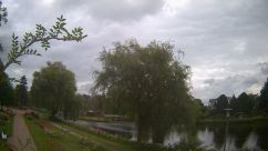 Rosarium Webcam