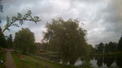 Rosarium Webcam