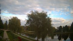 Rosarium Webcam