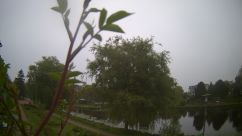 Rosarium Webcam
