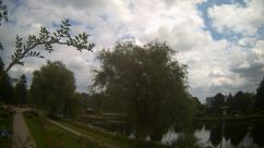 Rosarium Webcam
