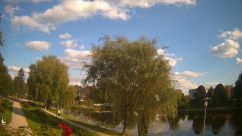 Rosarium Webcam