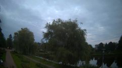 Rosarium Webcam