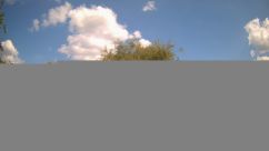 Rosarium Webcam
