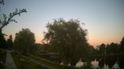 Rosarium Webcam