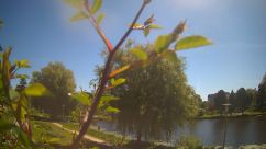 Rosarium Webcam