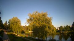 Rosarium Webcam