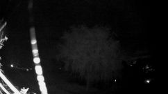Rosarium Webcam