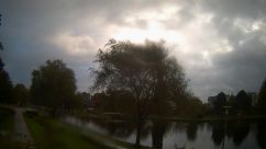Rosarium Webcam