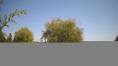Rosarium Webcam