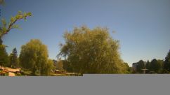 Rosarium Webcam