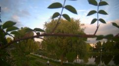 Rosarium Webcam