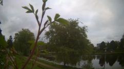 Rosarium Webcam