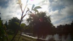 Rosarium Webcam