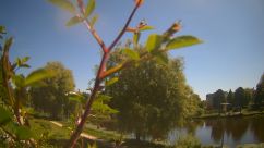 Rosarium Webcam