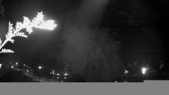 Rosarium Webcam