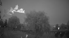 Rosarium Webcam