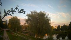 Rosarium Webcam
