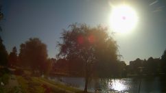 Rosarium Webcam