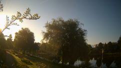 Rosarium Webcam