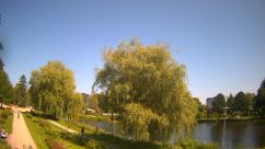 Rosarium Webcam