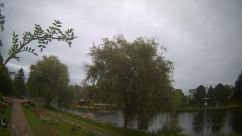 Rosarium Webcam
