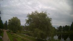 Rosarium Webcam