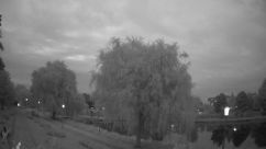Rosarium Webcam