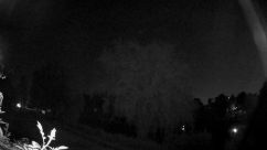 Rosarium Webcam